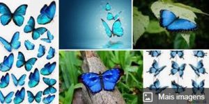 sonhar com borboleta azul, livro dos sonhos 
